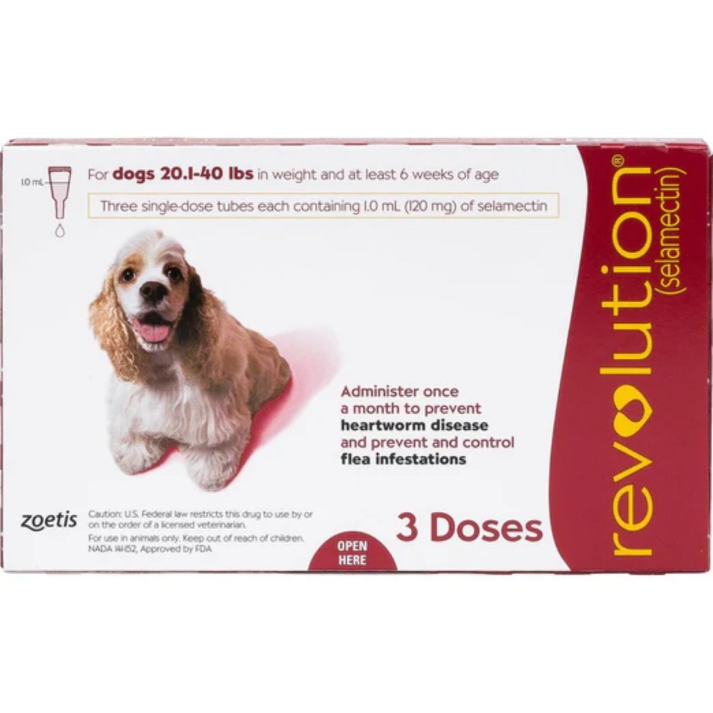 Revolution For Medium Dogs (10-20kg)