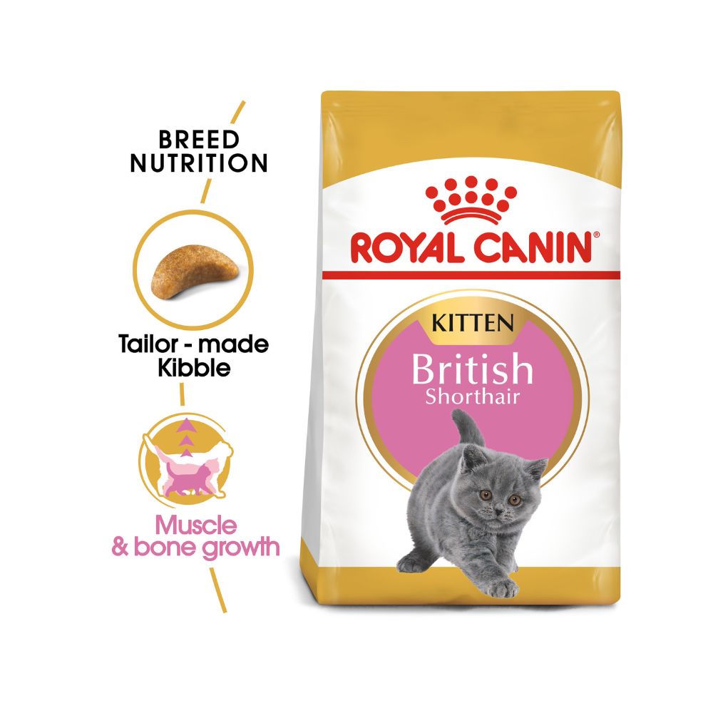 Royal Canin British Shorthair Kitten 2kg Dry Cat Food