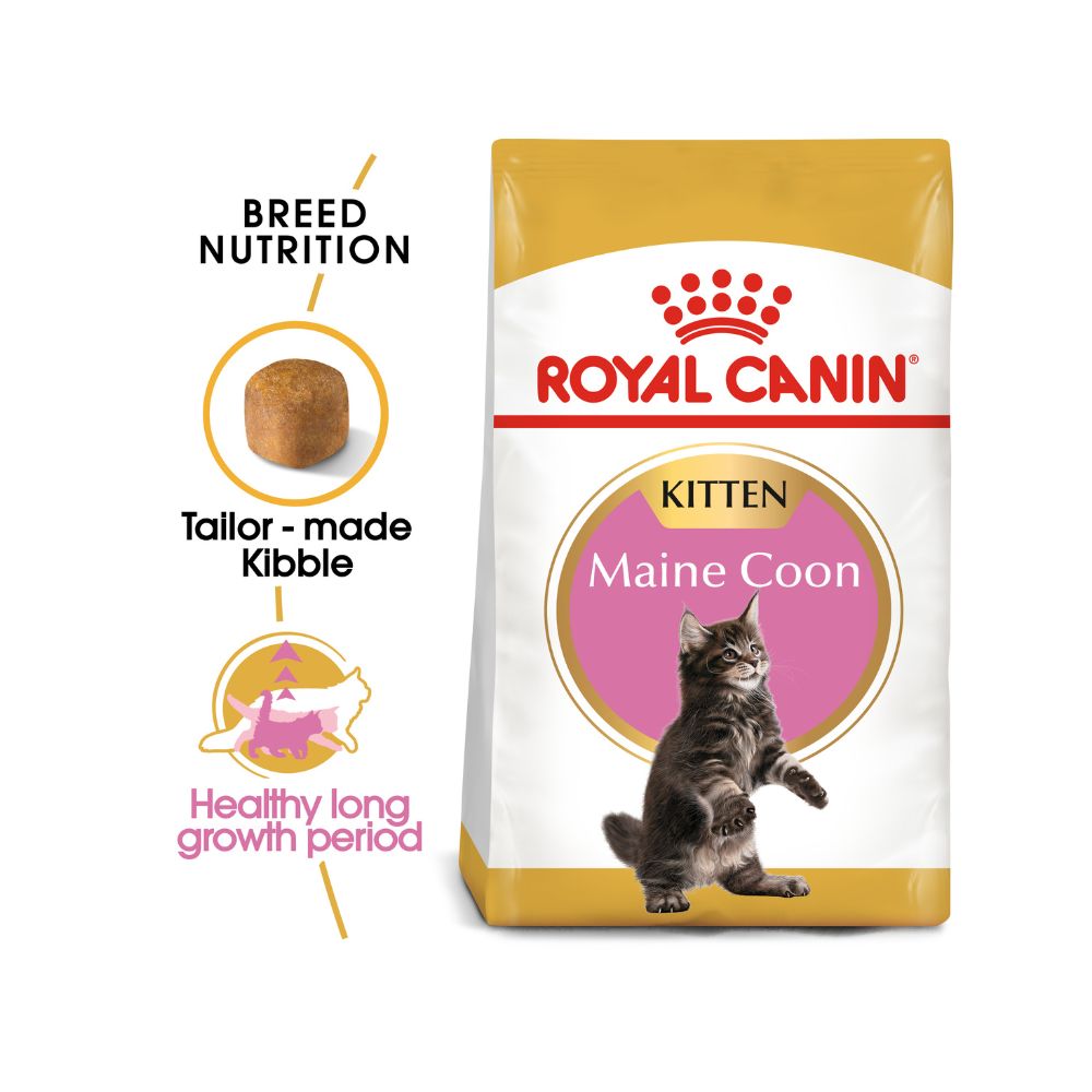 Royal Canin Maine Coon Kitten 2kg Dry Cat Food