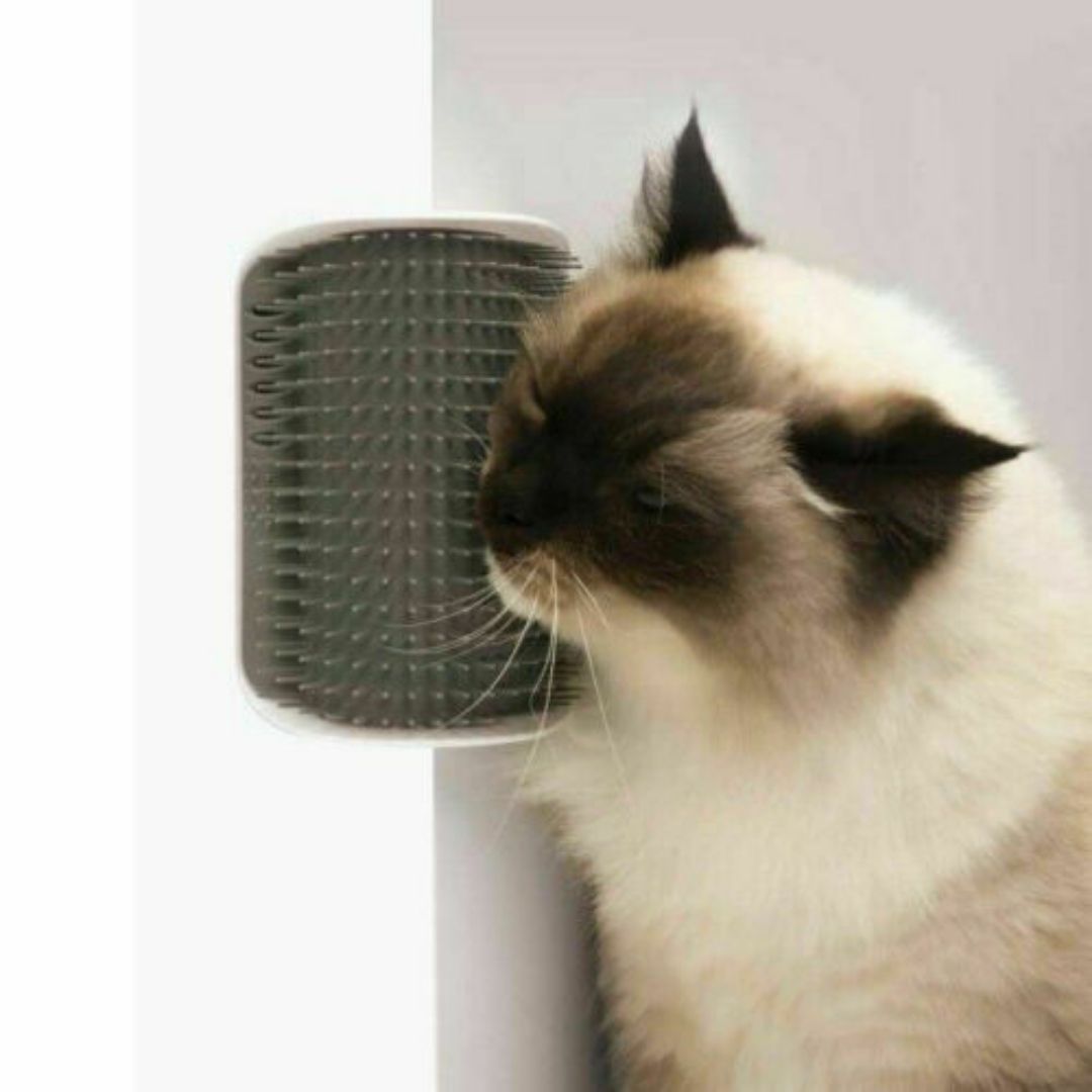 Catit Senses 2.0 Self Groomer