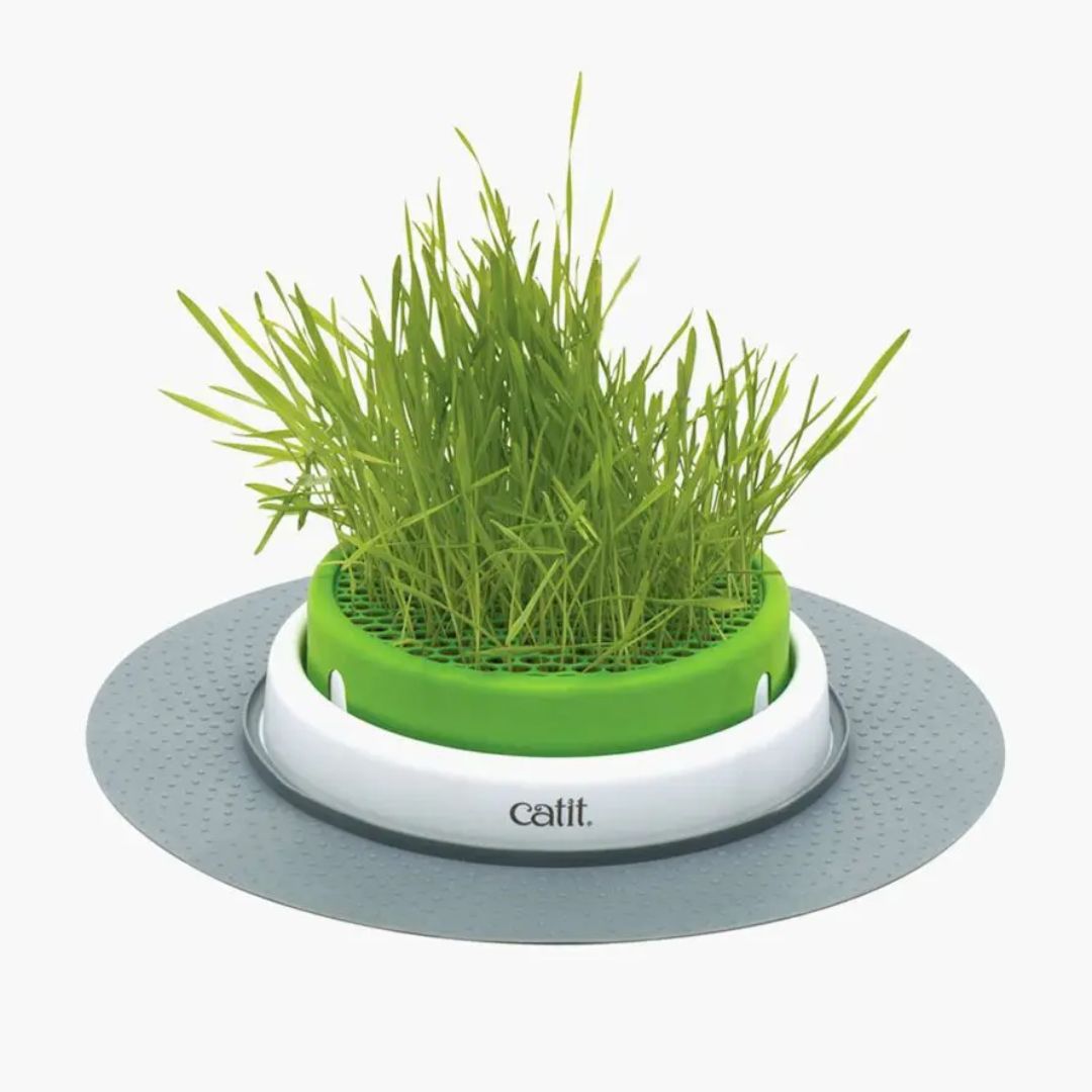 Catit Senses 2.0 Grass Planter (include Seed & Vermiculite)