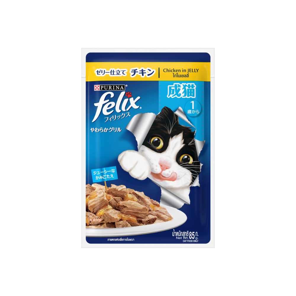 Felix Adult Chicken 70g Pouch