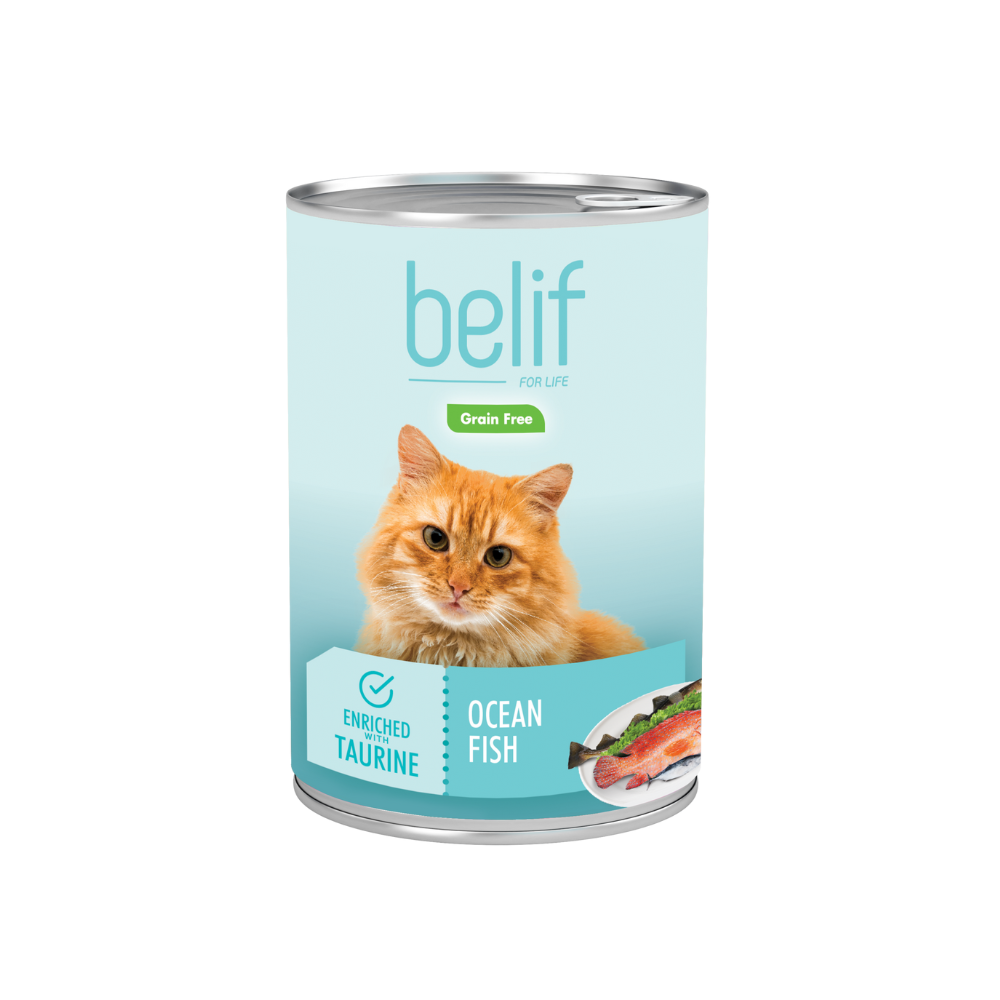 Belif Ocean Fish 400g Wet Cat Food