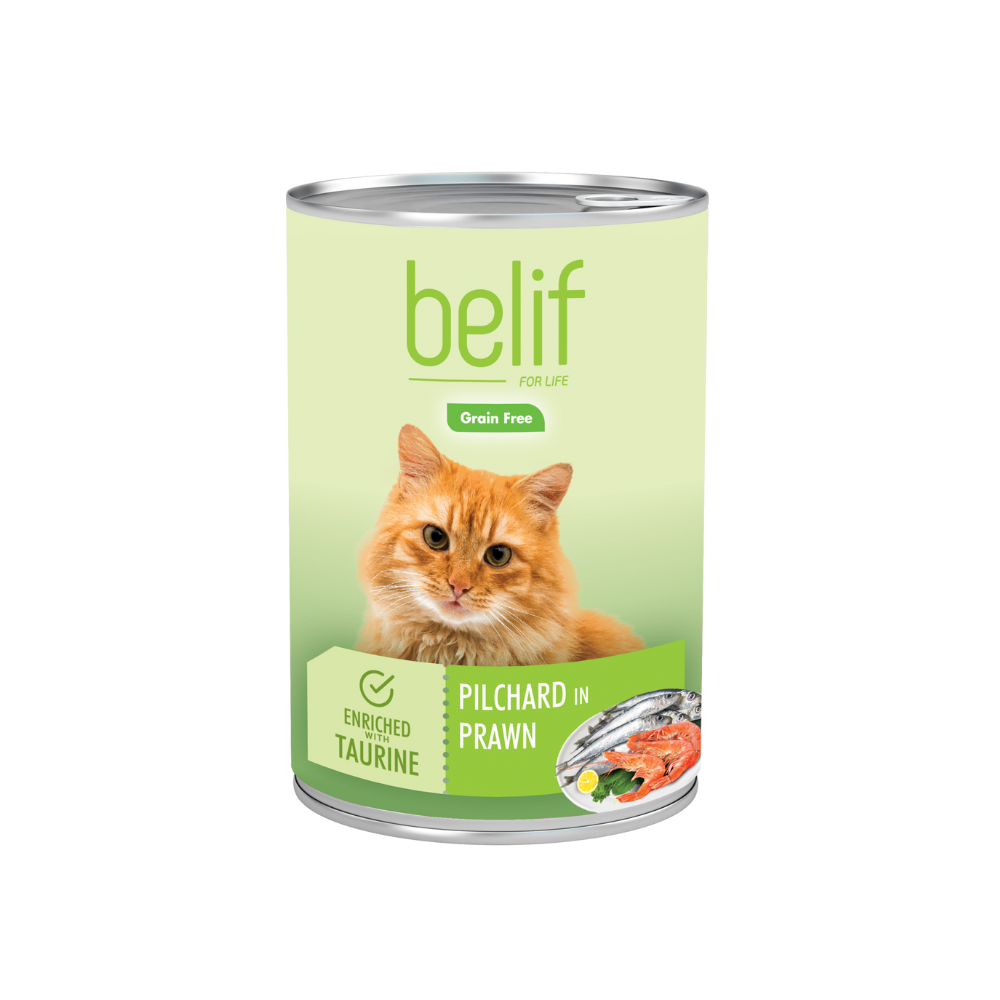 Belif Pilchard In Prawn Jelly 400g Wet Cat Food