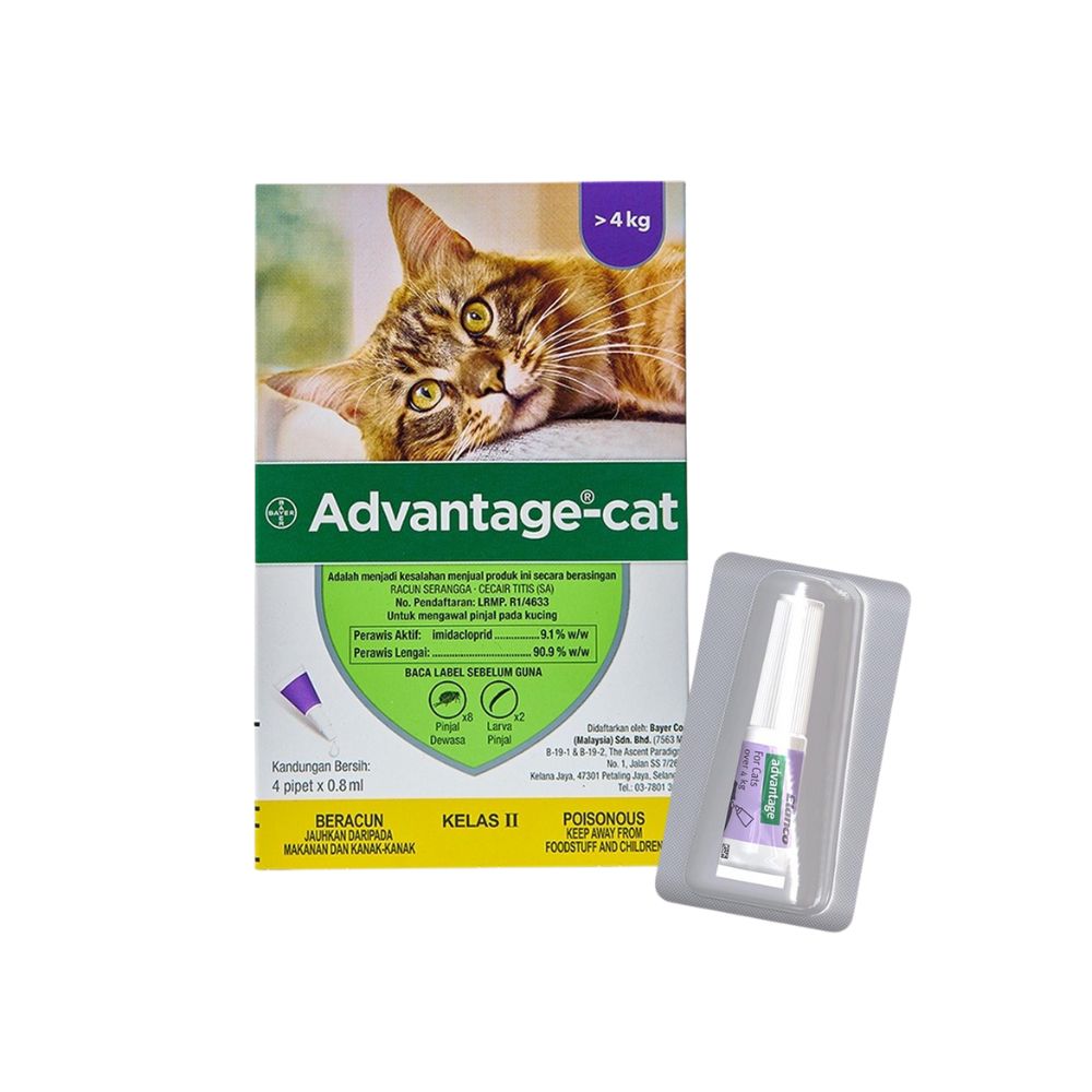 Bayer Elanco Advantage Cat (m) 4x0.8ml